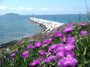 Room in BB - Welcome To Hotel petunia, In Neos-marmaras,xalkidiki ,greece, double room 6